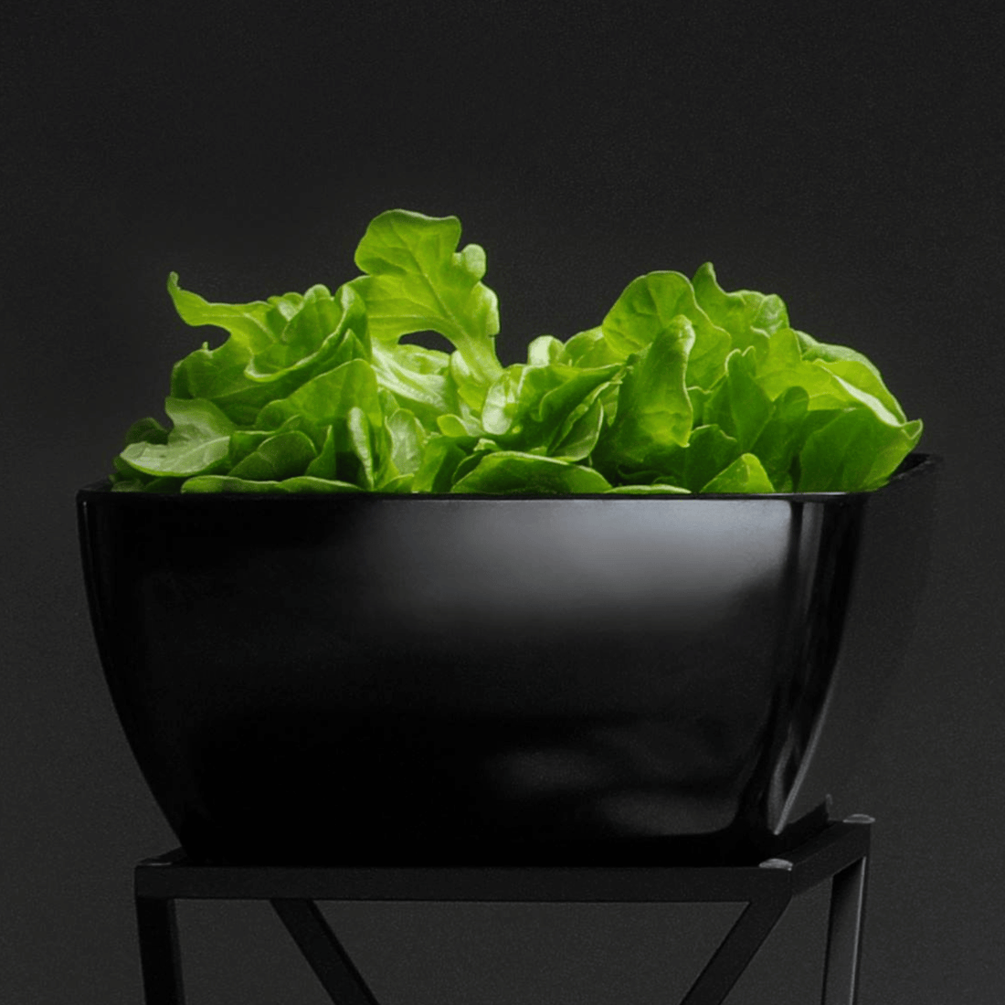Hot Counter Displays: The Complete Guide to Trays, Risers and Stands for Retail & Deli Food Counters