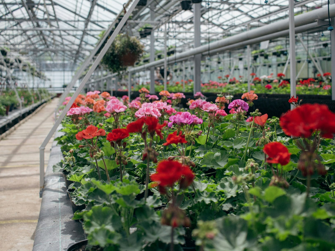 Garden Centre Display Ideas: How to Sell All Year Round in an Irish Garden Centre