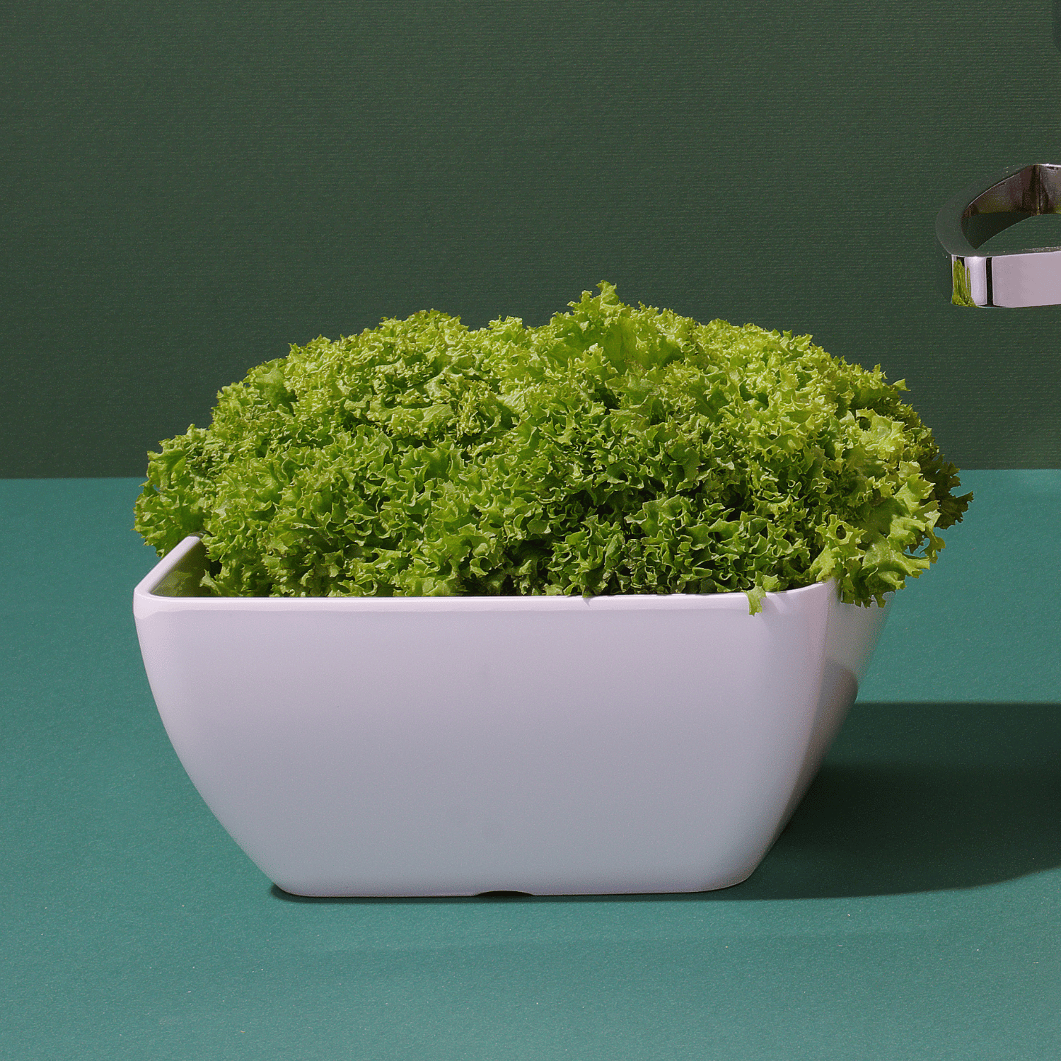 Square Melamine Bowl, White, 250x250x(h)120mm - CWDdisplays