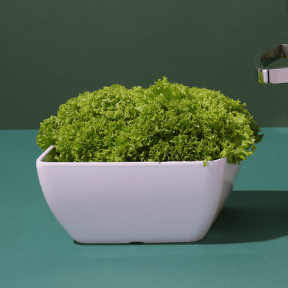 Square Melamine Bowl, White, 250x250x(h)120mm - CWDdisplays